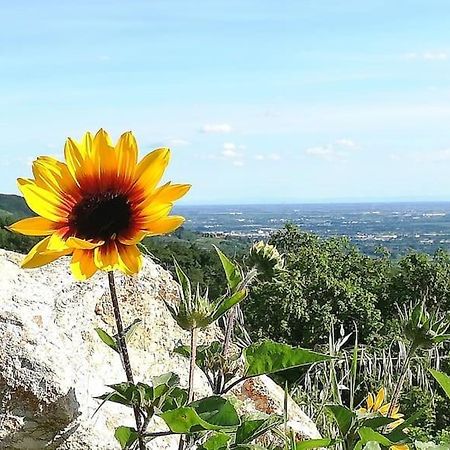 B&B Ca Montemezzano Βερόνα Εξωτερικό φωτογραφία