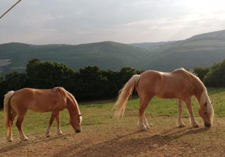 B&B Ca Montemezzano Βερόνα Εξωτερικό φωτογραφία