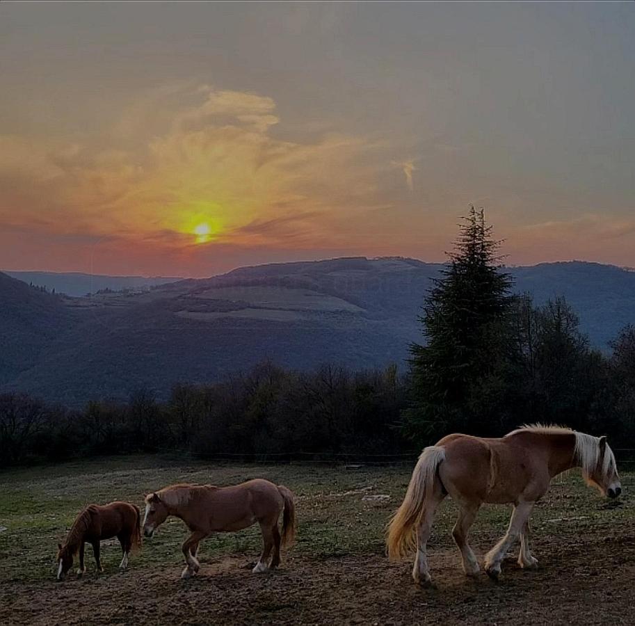 B&B Ca Montemezzano Βερόνα Εξωτερικό φωτογραφία